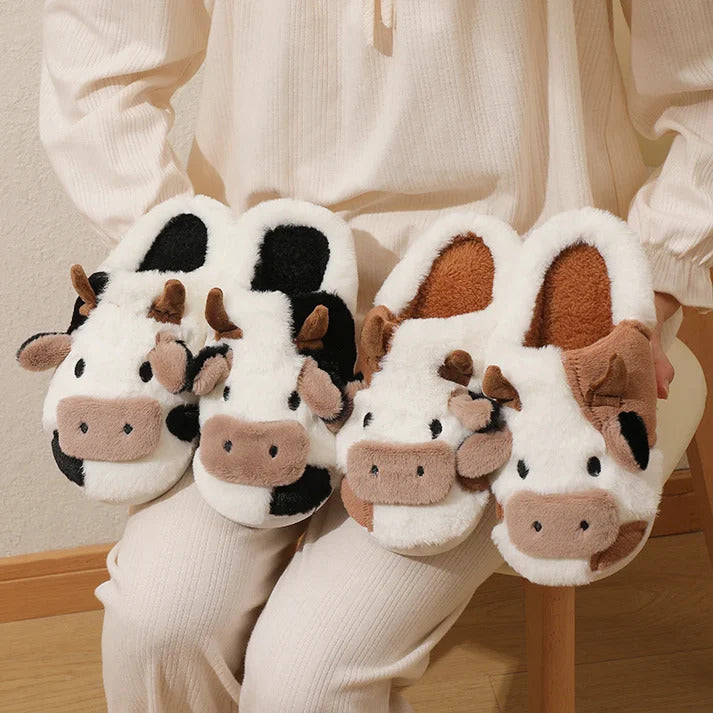 Romeo & Juliet Cow Slippers